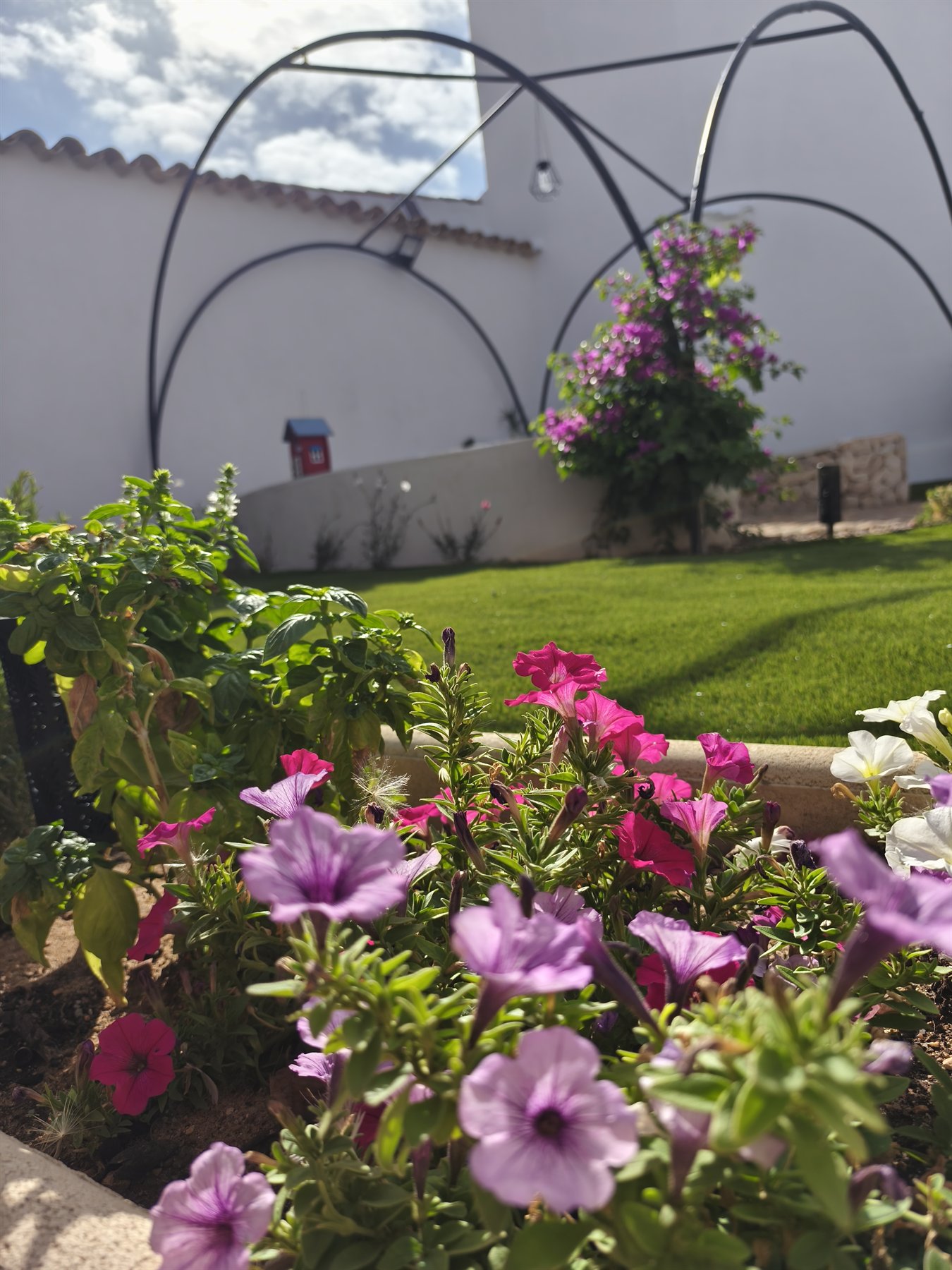 Jardín interior rodeado de arcos